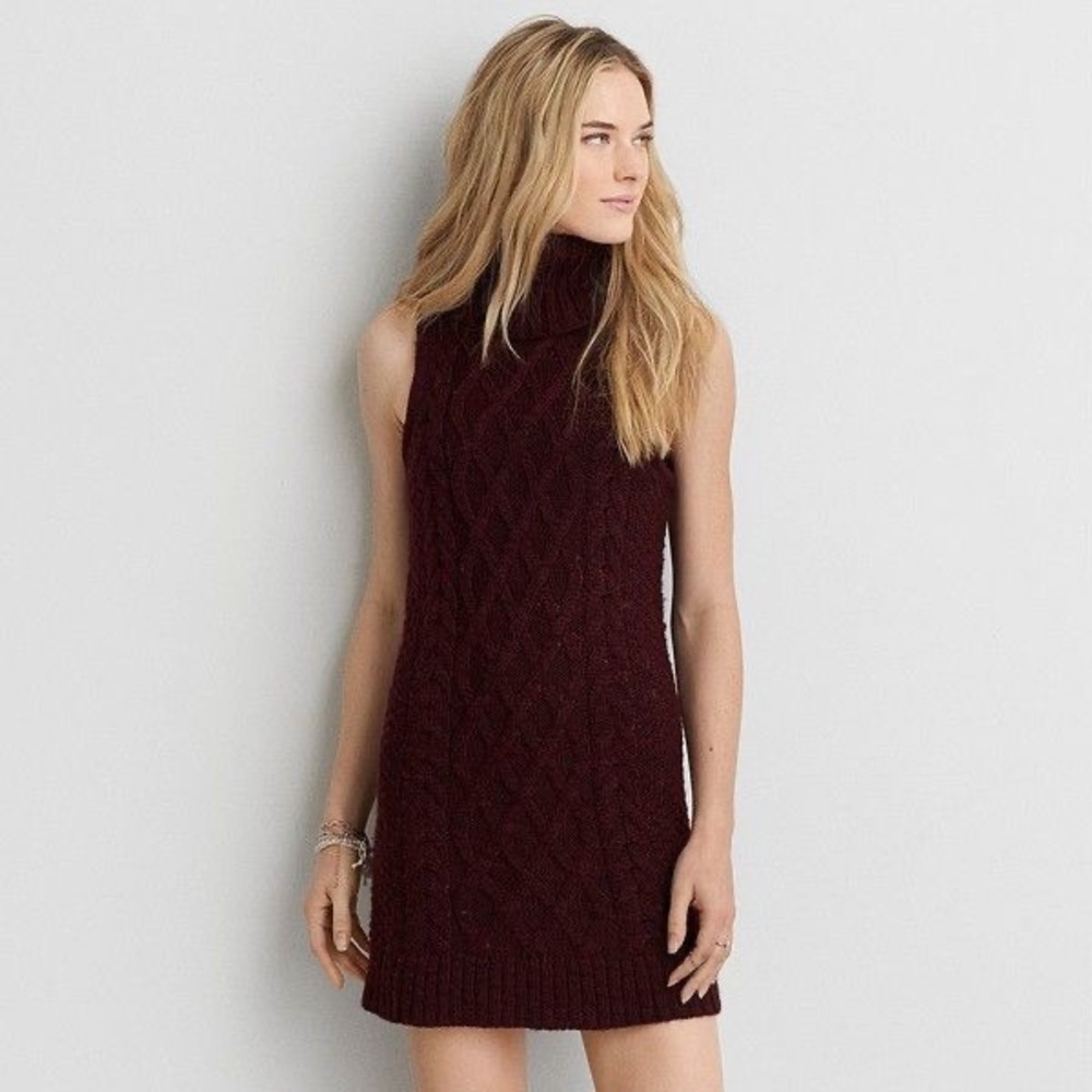 NWOT AE Turtleneck cable knit Dress
